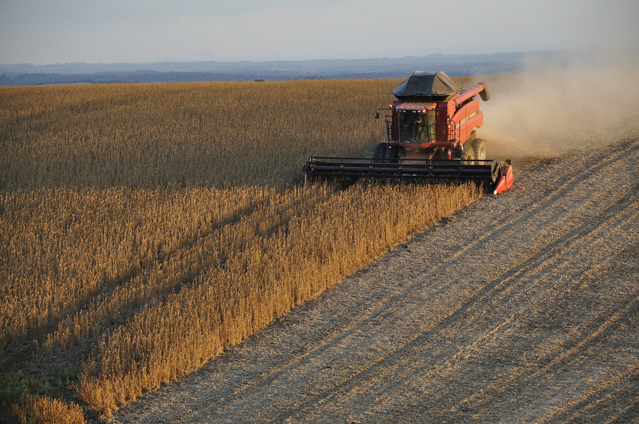 soy, combine, harvest