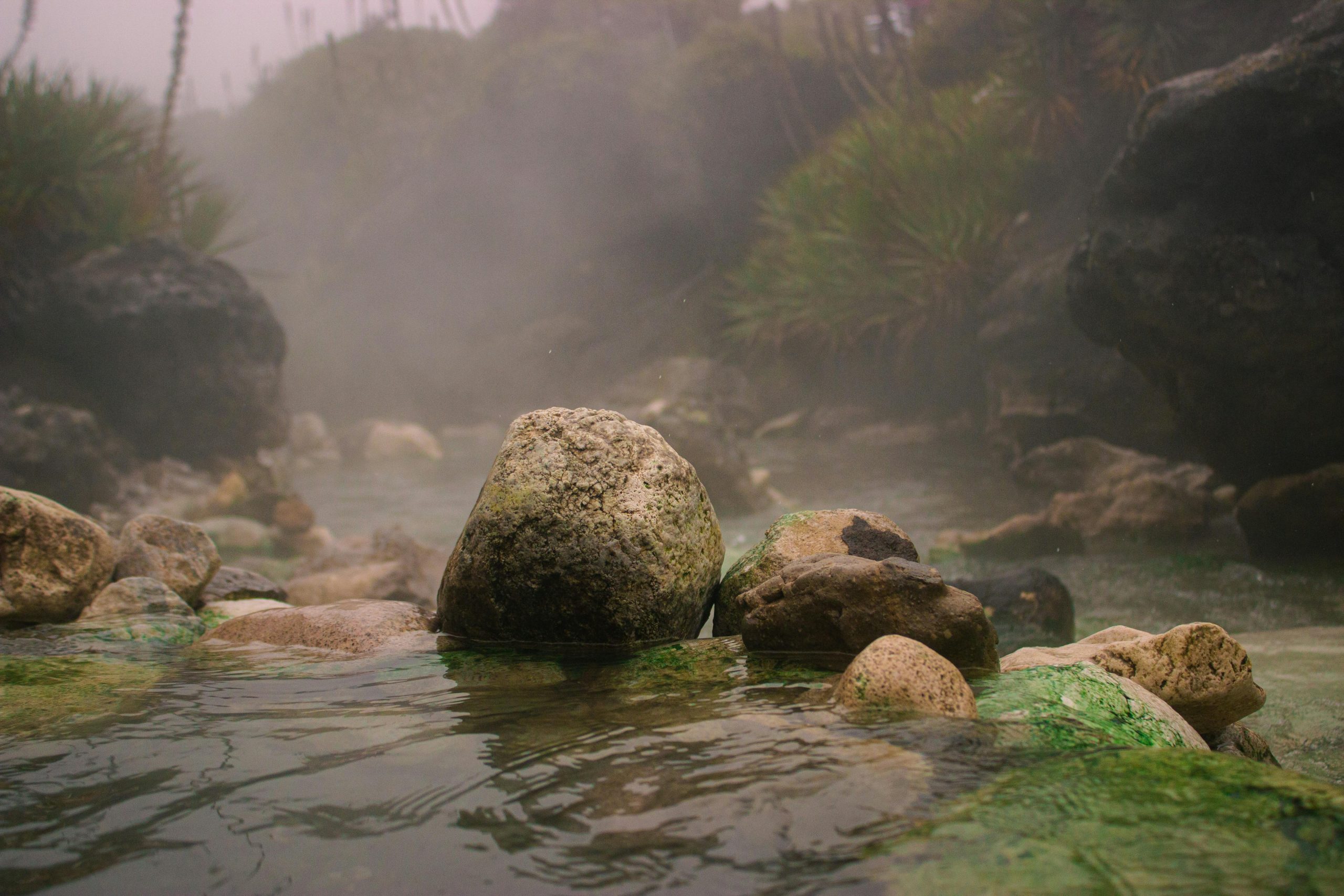 Rocks on the River