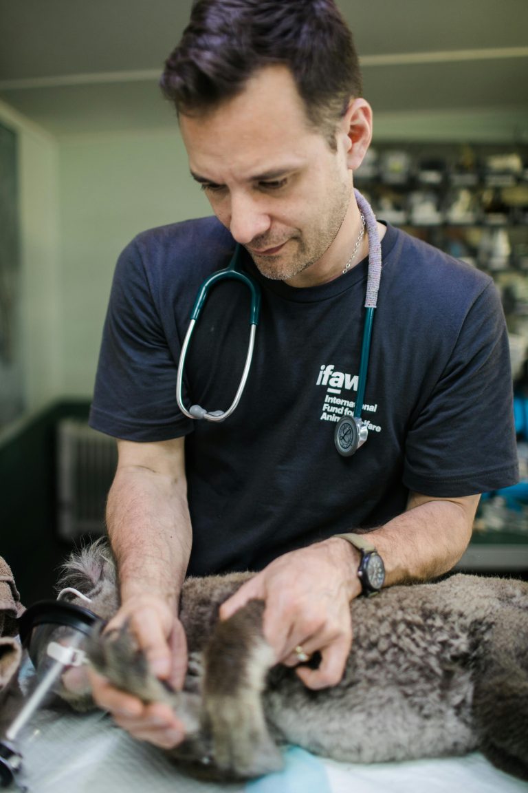 Urgência e Emergência Veterinária