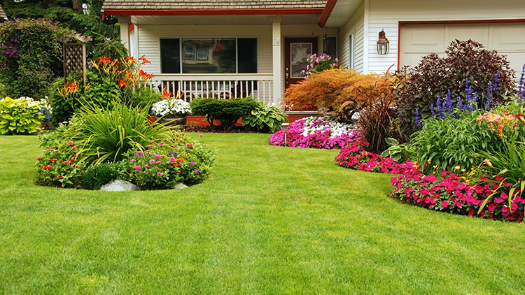Curso Paisagismo e Plantas Ornamentais